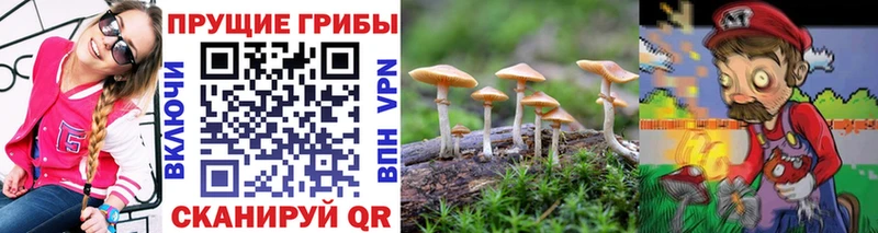 Галлюциногенные грибы прущие грибы Апрелевка